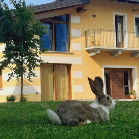 Agriturismo Fior Di Campo Dronero Kültér fotó