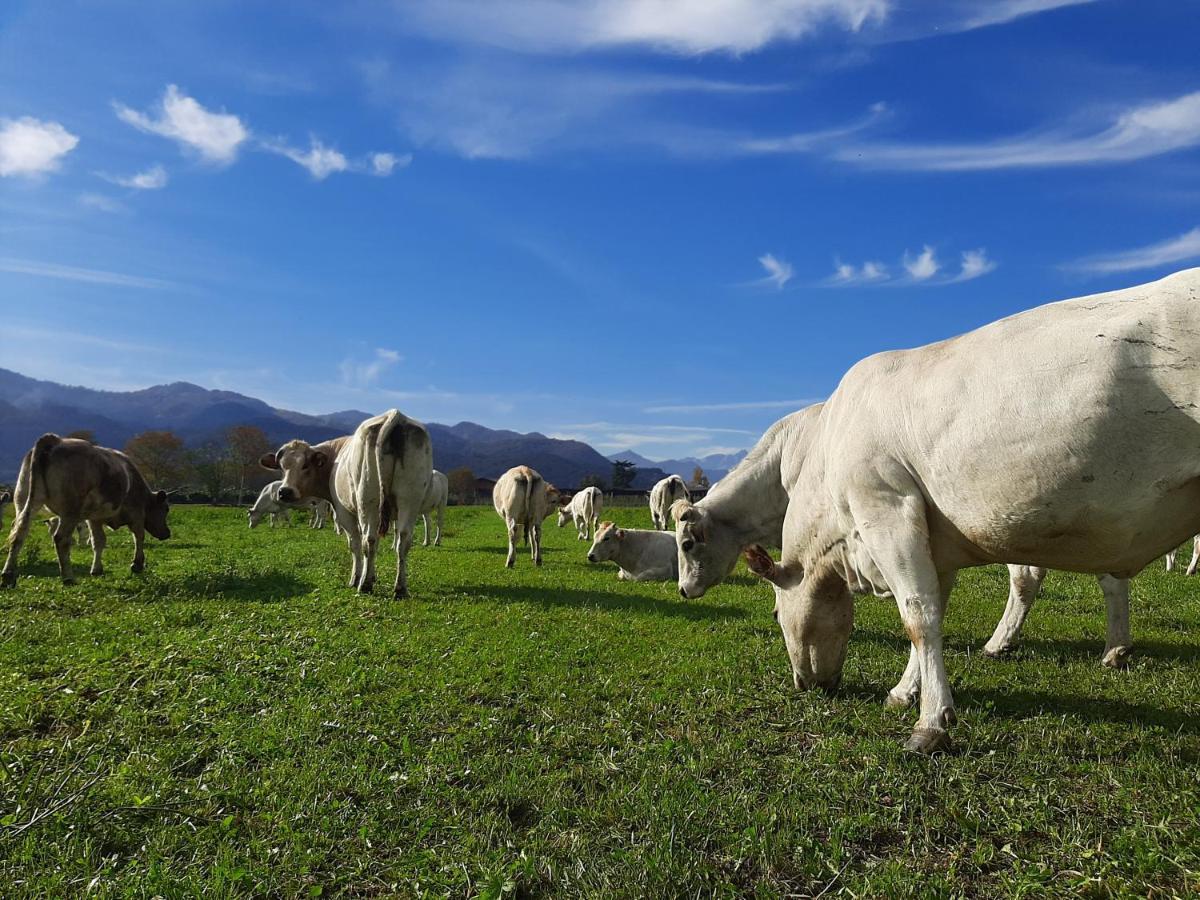 Agriturismo Fior Di Campo Dronero Kültér fotó
