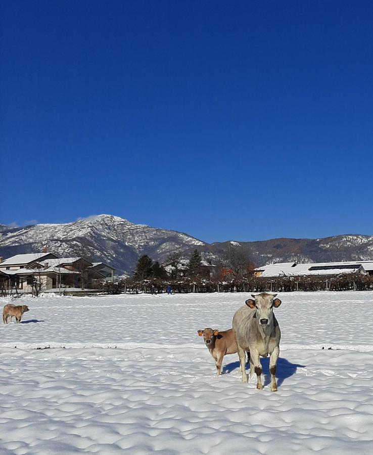 Agriturismo Fior Di Campo Dronero Kültér fotó