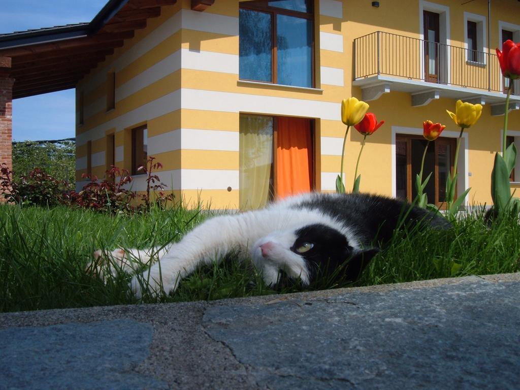 Agriturismo Fior Di Campo Dronero Kültér fotó