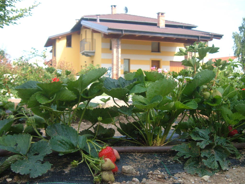 Agriturismo Fior Di Campo Dronero Kültér fotó